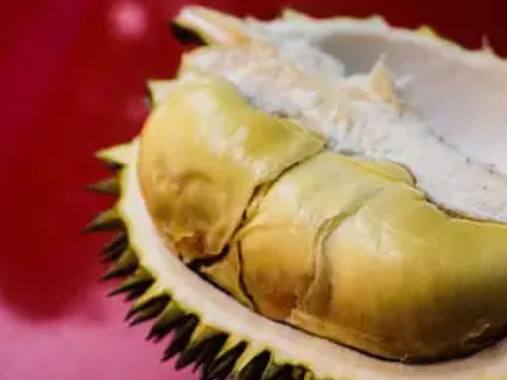 Durian, food to avoid for dampness