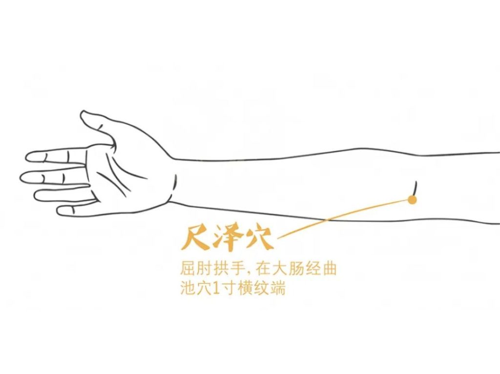 TCM Coughing Acupoint Singapore