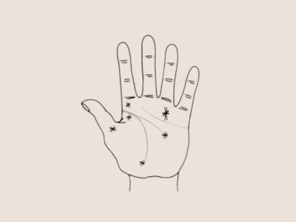 palm line tcm