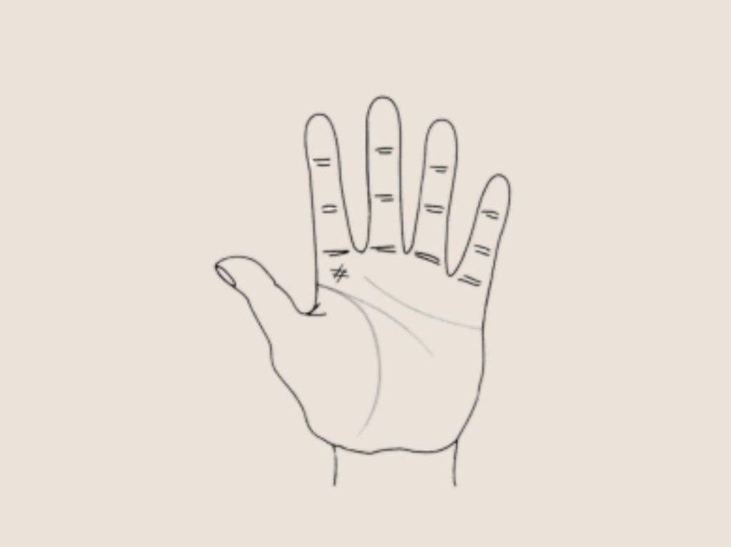 palm line tcm