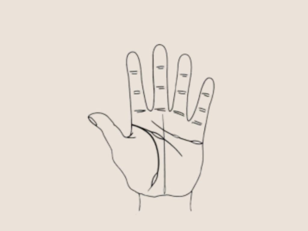 palm line tcm