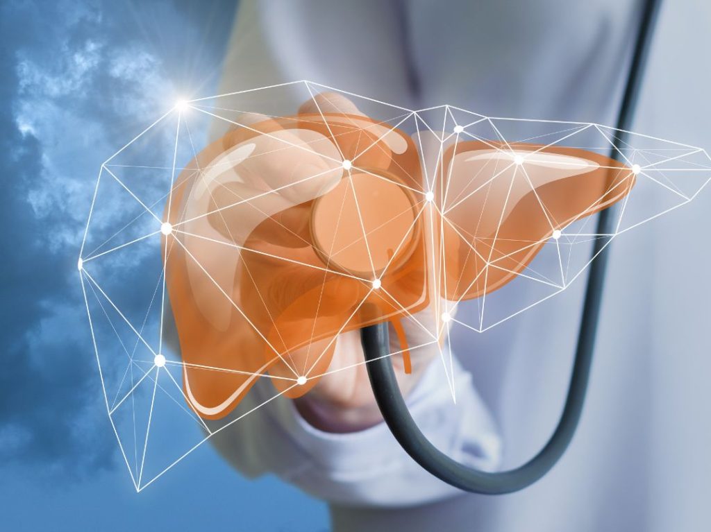 TCM liver health