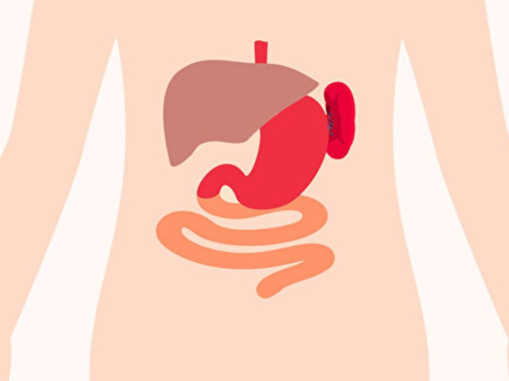 tcm spleen