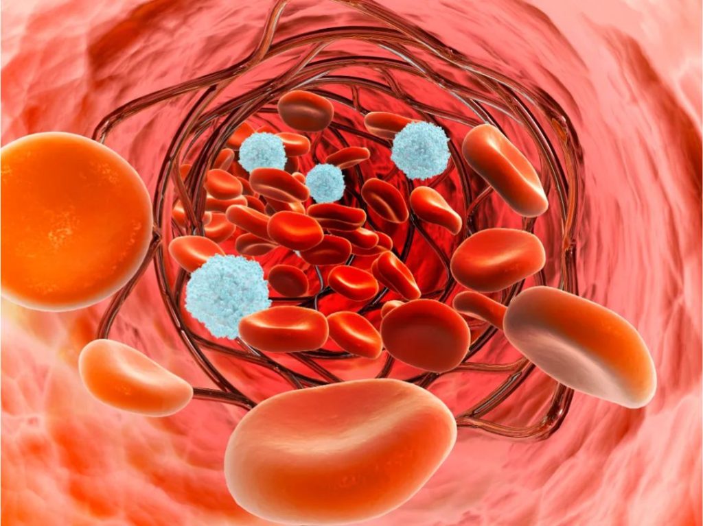 tcm blood stasis