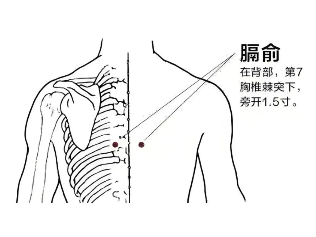 tcm geshu
