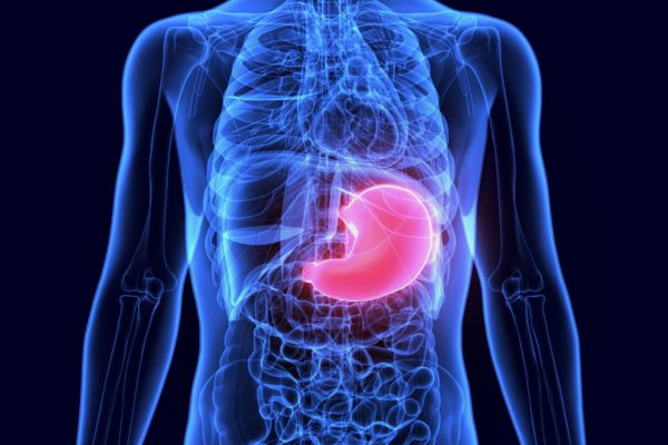What Is “Stomach Qi” in TCM? Why It Matters and How to Protect It