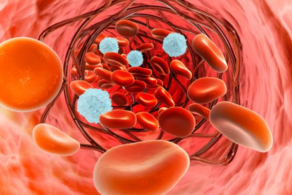 Blood Stasis in TCM: 5 Signs of “Stagnant Blood” and How to Support Circulation